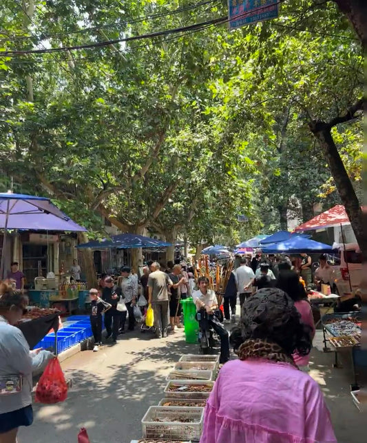 Xicang Market: A Vibrant Slice of Xi’an Life